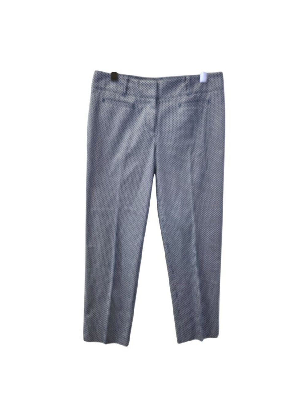 Ann Taylor Devin Fit Fleur de Lis Print Ankle Pants Size 2